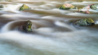 Carolyn Lunt, Merri Creek